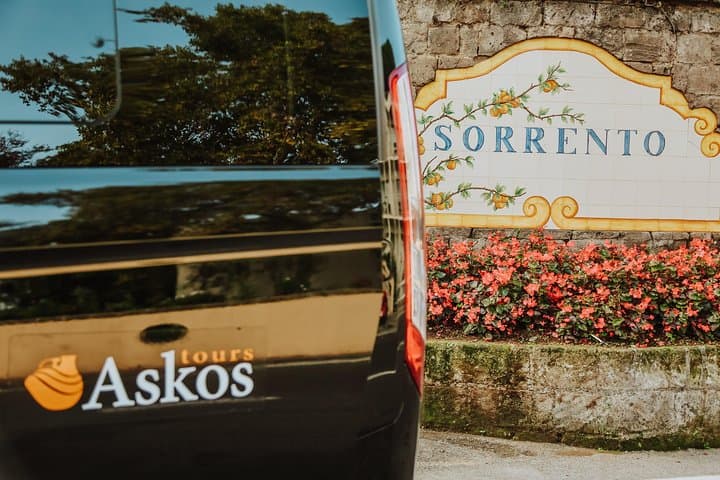 Transfer from Naples to Sorrento with 2 hours Private Tour in Pompeii