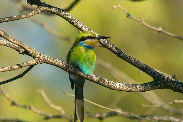 Swakop River Valley & Spitzkoppe Full Day 4x4 tour vanuit Walvis Bay