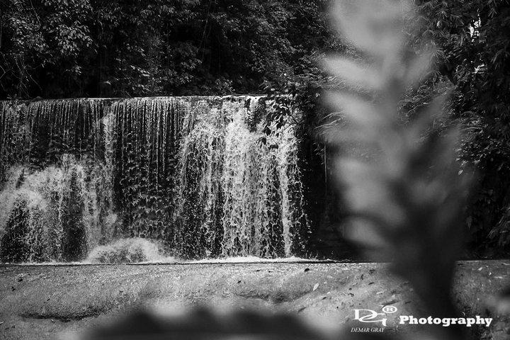 Black River Safari e YS Water Falls