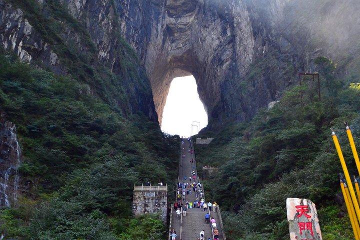 VIP リフト付きのすべてのハイライト観光スポットを巡る 4 日間の張家界ツアー