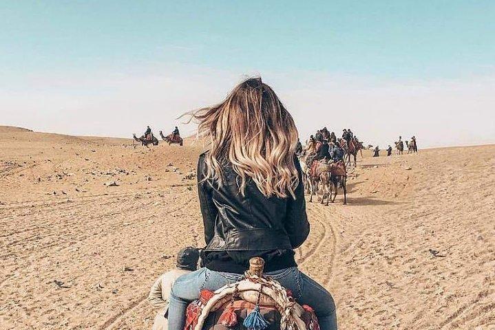 Gizeh-piramides van Camel