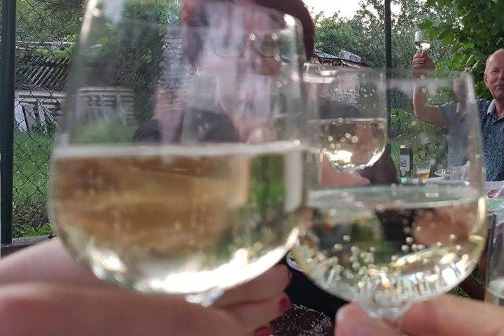 Wine tour - Regione vinicola di Penedes - (2 cantine incluse)