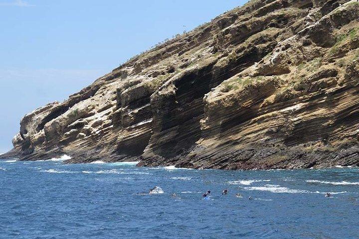 Tour de snorkel en la isla tortuga desde Isabela
