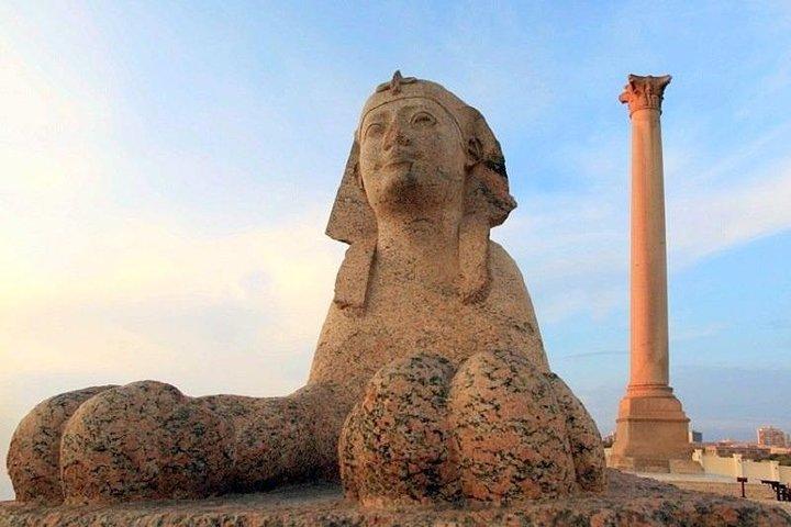 Overday Alexandria