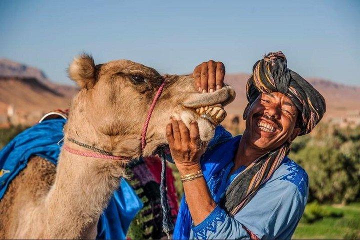 マラケシュからアイトベンハドゥへのプライベート日帰り旅行、送迎付き