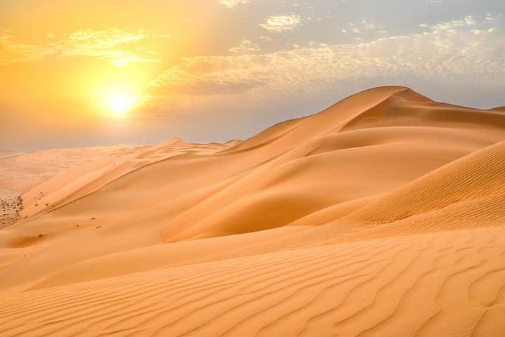 Dubai Desert BBQ Dinner, Camel Ride, Sandboarding and Live Shows