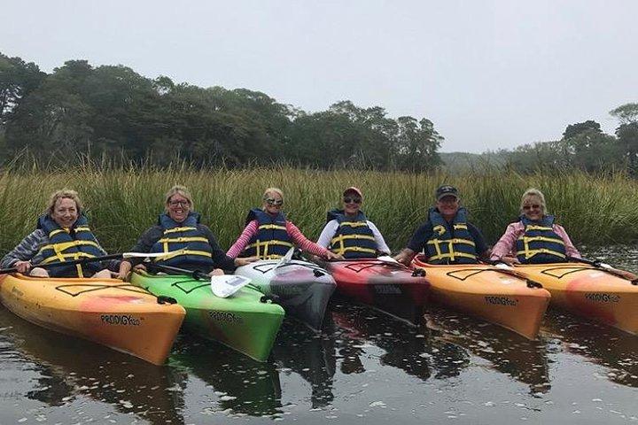 Kajak The Creek Nature Tour