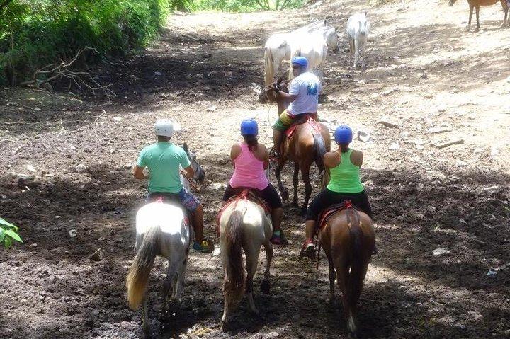 Adrenalin, tubing, Zip Line, Rappelling, Hot Springs Tour