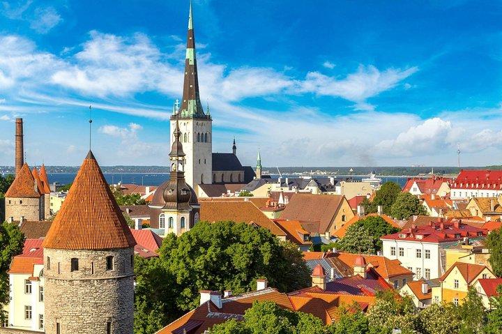 Escursione a terra privata: tour panoramico di Tallinn