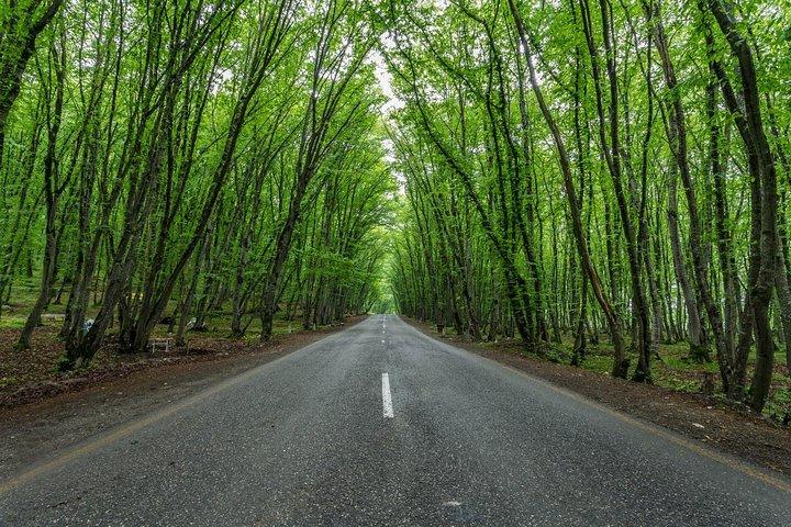 Viagem de dia inteiro a Guba e Khinalug