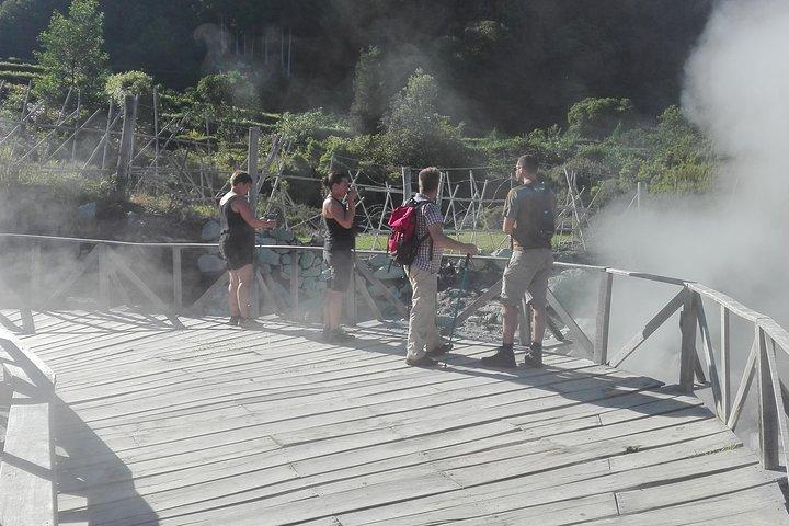 Furnas Lake Hotsprings og Gardens Van Tour