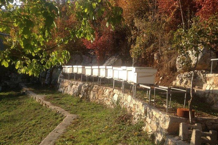 Visite o Mosteiro de Ostrog e a casa rural tradicional - Montenegro Private Tour