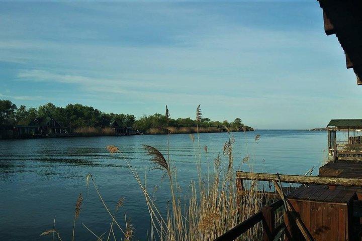Tour privato del porto di Bar - Vecchie strade, vigne e visite turistiche