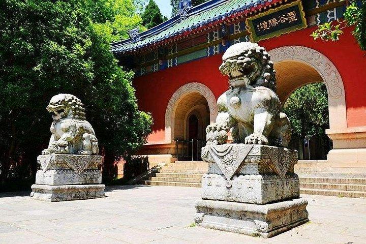 昼食付き南京紫山のプライベート詳細ツアー