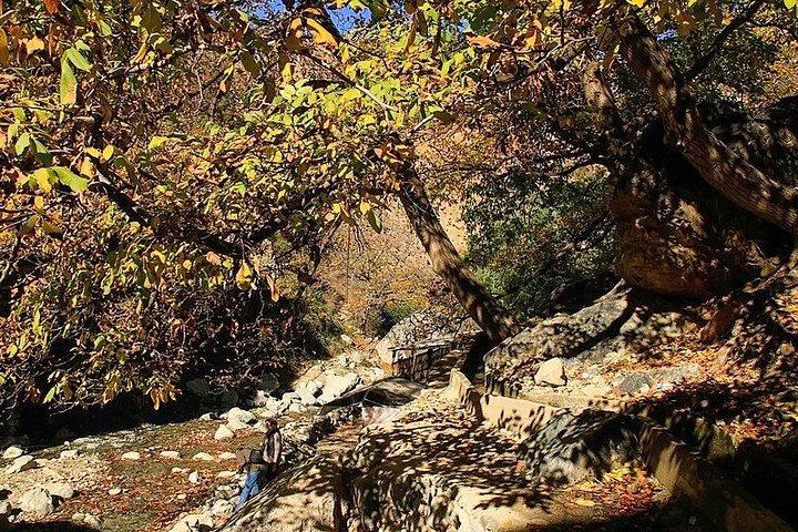 Ourika Valley Waterfalls & Berber Villages Day Trip.