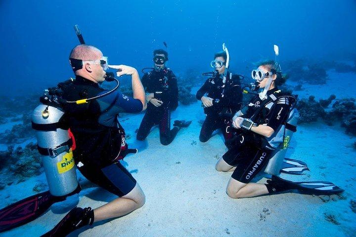 Scuba Diving Tour From Alanya - Side - Antalya