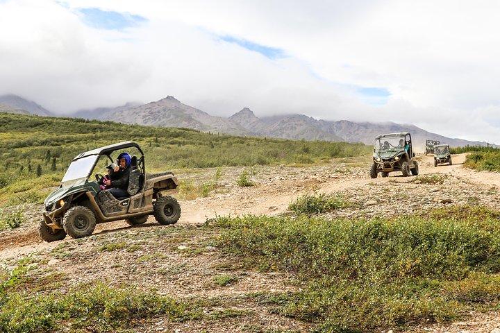 2,5-timers Denali Wilderness ATV Adventure Tour