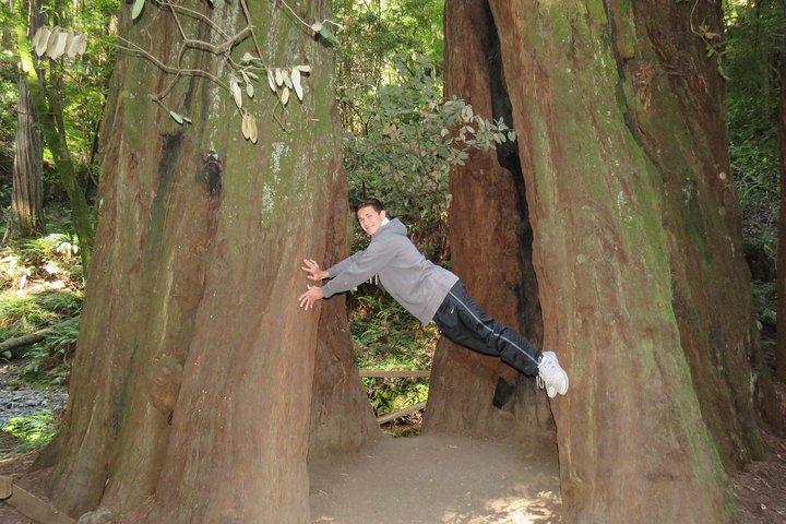 Entdecken Sie Point Reyes National Seashore und Muir Woods Redwoods