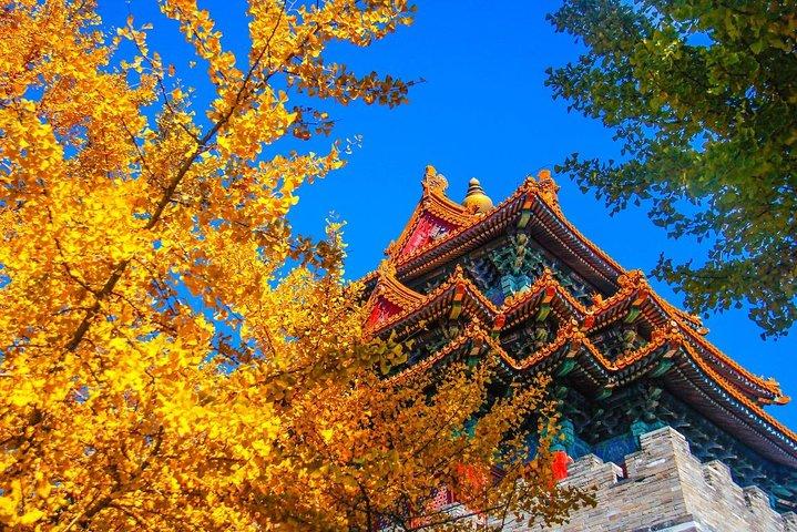 Quality Small Group Beijing Layover Tour naar Forbidden City
