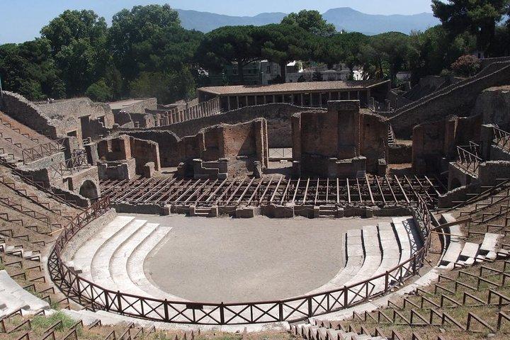 Von Neapel oder Sorrent: Private Tour durch Pompeji, Weinprobe & Mittagessen