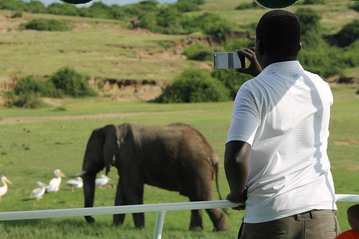 Safari di 6 giorni Queen Elizabeth e Mburo Luxury
