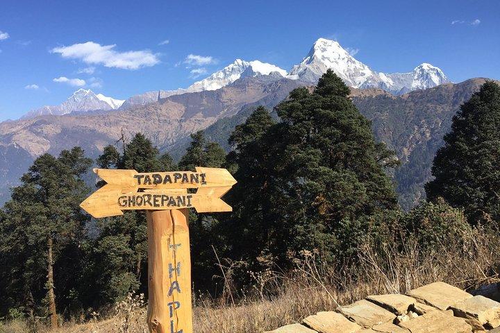 カトマンズからの7日間のGhorepani Poonhill Ghandruk Trek