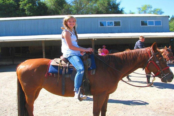Privates Reiten und Muir Woods Adventure aus San Francisco