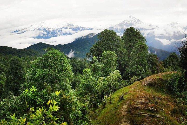 Australisches Camp Wandern