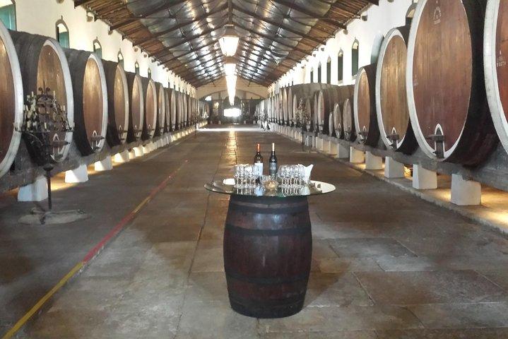 Sintra Full Day Private Wine Experience with Tastings from Lisbon