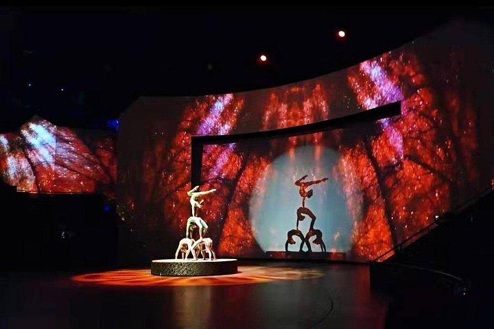 Shanghai ERA-Acrobatic Show Ticket with Private Transfer