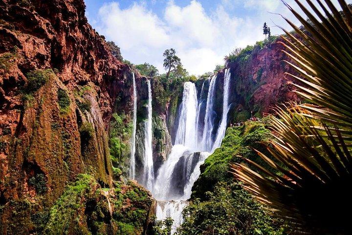Marrakech To Waterfalls Ouzoud Day trip