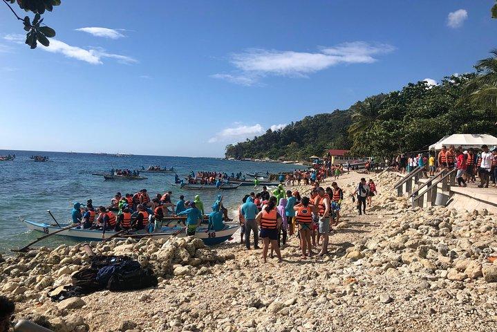 Excursion privée d'une journée : Oslob Whaleshark + Tumalog Falls (île de Sumilon)