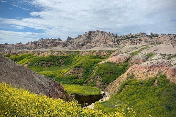 Tour privato di un giorno delle Badlands