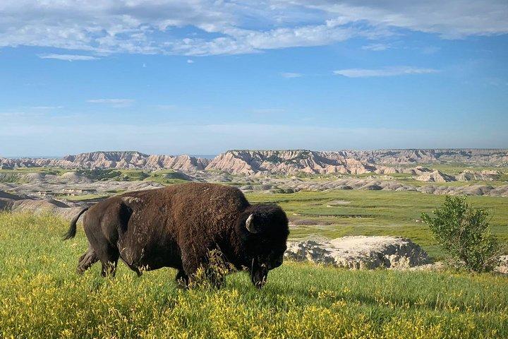 Tour privato di un giorno delle Badlands