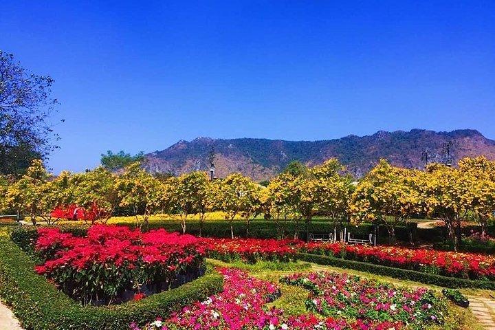 バンコク発カオヤイ国立公園日帰りツアー