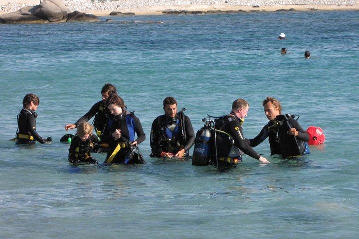 Scuba Diving in Naxos by Bluefindivers - Dive in Greece - Amazing Diving Spots