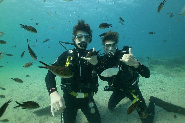 Scuba Diving in Naxos by Bluefindivers - Dive in Greece - Amazing Diving Spots
