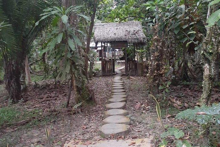 Amazon River Expeditions med guide til 5 dage 4 nat Ecolodge