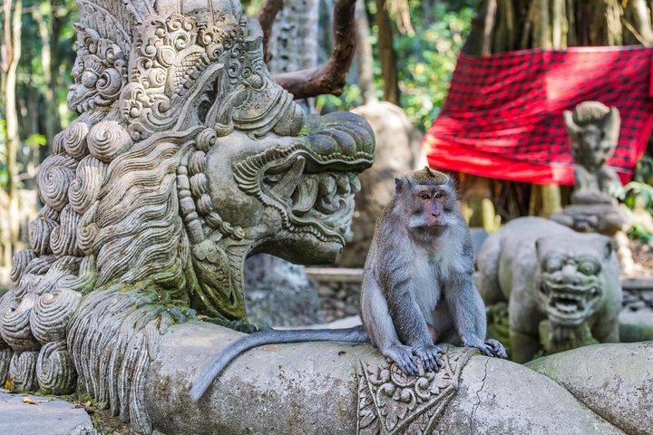 Ganztagstour mit Wildwasser-Rafting auf dem Fluss Ayung und Ubud