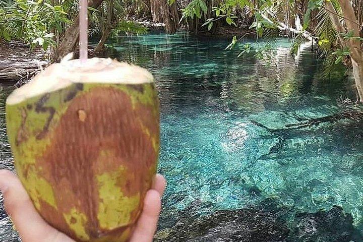 Materuni Wasserfälle, Kaffeetour & kikuletwa heiße Quellen