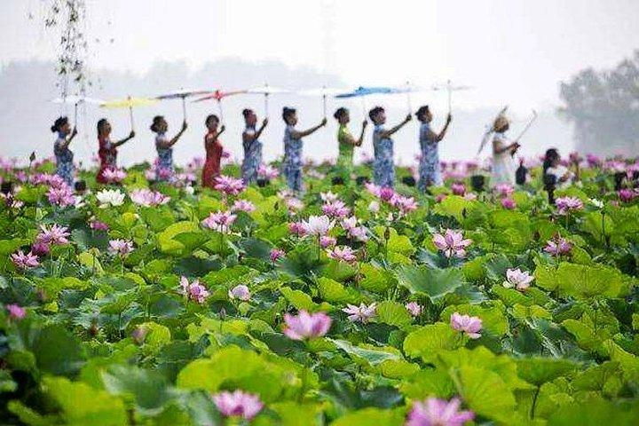Zhenjiang zelfgeleide tour vanuit Nanjing met privéauto en chauffeurservice