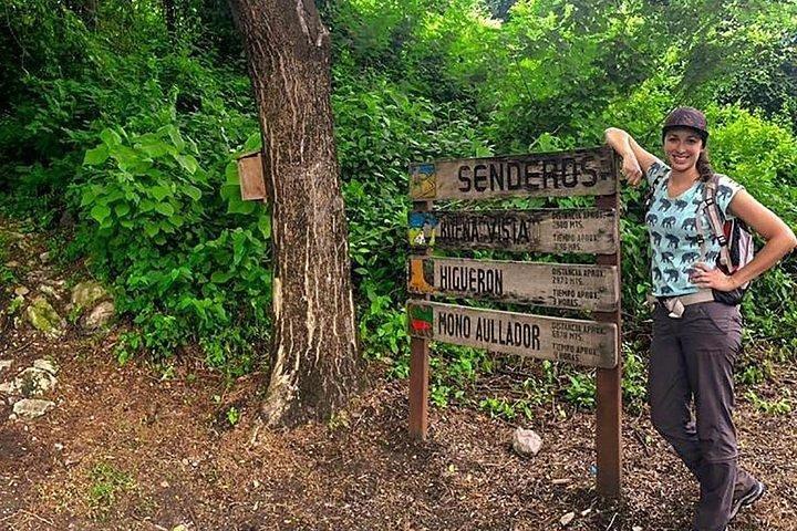 Birdwatching di mezza giornata a Cerro Blanco da Guayaquil