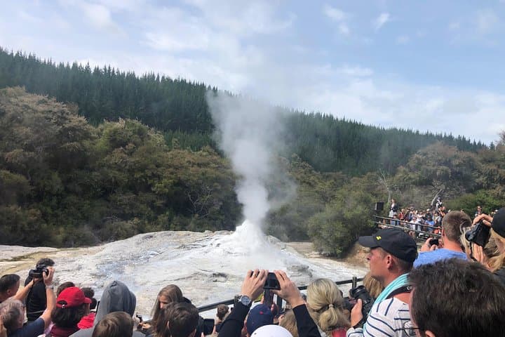 Private Small Group Tour to Wai-O-Tapu & Te Puia Rotorua ex AKL