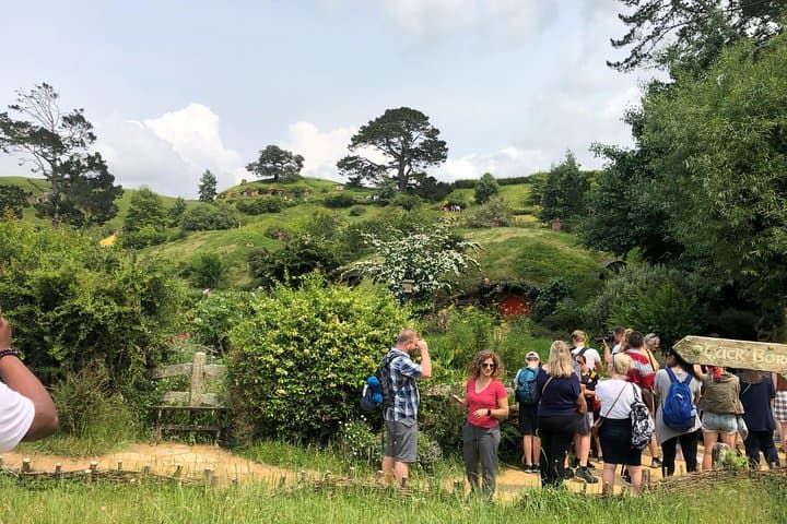 Private Small Group Tour to Wai-O-Tapu & Te Puia Rotorua ex AKL