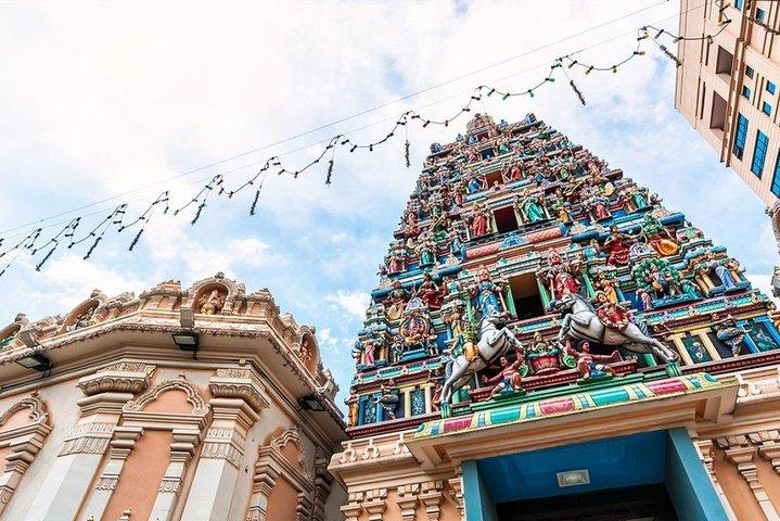 Excursão de cruzeiro: City tour de dia inteiro em Kuala Lumpur