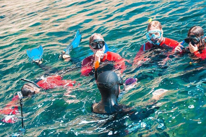 Snorkling - Marine Park Discovery
