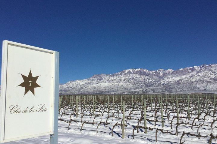 Una giornata a “Clos DE los Siete