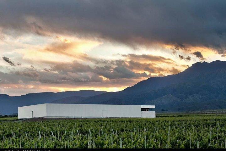 Una giornata a “Clos DE los Siete