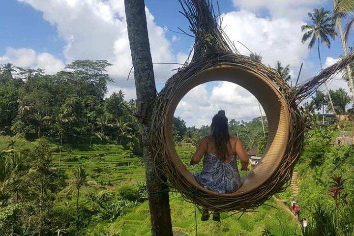 Rice Terrace och Bali Swing Tour