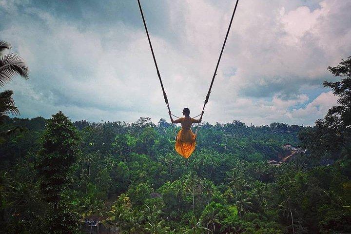 Rice Terrace och Bali Swing Tour